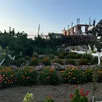 Teo Sea * Saranda