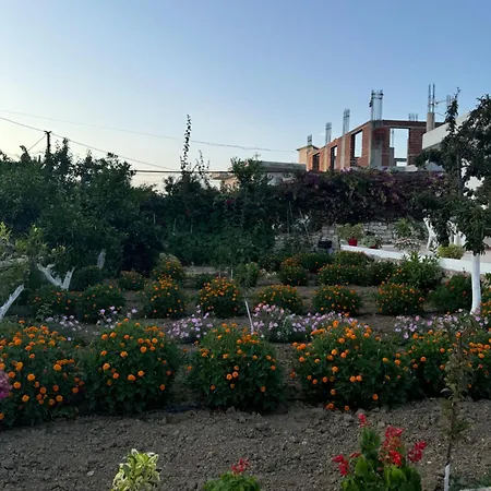 Teo * Sarandë